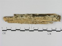 登錄號:F0000078藏品圖，第1張