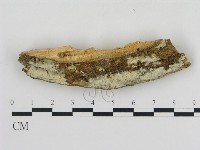 登錄號:F0000082藏品圖，第1張