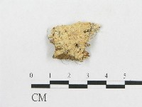 登錄號:F0000083藏品圖，第1張
