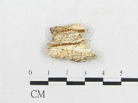登錄號:F0000083藏品圖，第3張