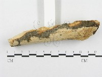 登錄號:F0000084藏品圖，第3張