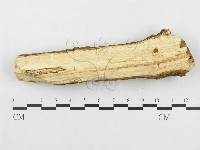 登錄號:F0000084藏品圖，第4張