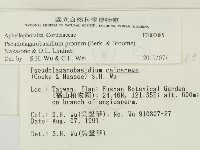登錄號:F0000085藏品圖，第2張