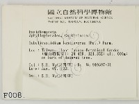 登錄號:F0000087藏品圖，第2張