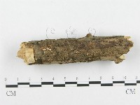 登錄號:F0000088藏品圖，第1張