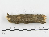 登錄號:F0000088藏品圖，第3張