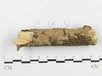 登錄號:F0000088藏品圖，第4張