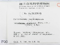 登錄號:F0000089藏品圖，第2張