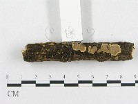 登錄號:F0000089藏品圖，第5張
