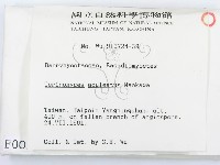 登錄號:F0000091藏品圖，第2張