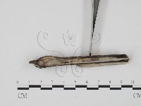 登錄號:F0000092藏品圖，第3張