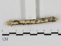 登錄號:F0000093藏品圖，第1張