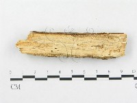 登錄號:F0000094藏品圖，第4張