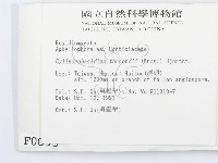 登錄號:F0000095藏品圖，第2張