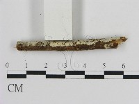 登錄號:F0000097藏品圖，第3張