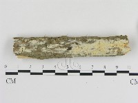 登錄號:F0000103藏品圖，第1張