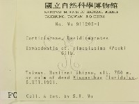 登錄號:F0000104藏品圖，第2張