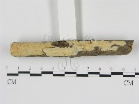 登錄號:F0000104藏品圖，第1張