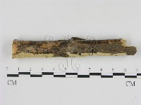 登錄號:F0000104藏品圖，第3張