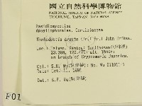登錄號:F0000106藏品圖，第2張
