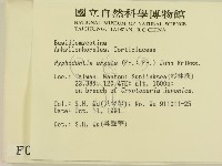 登錄號:F0000107藏品圖，第2張
