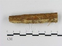 登錄號:F0000107藏品圖，第3張