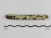 登錄號:F0000108藏品圖，第1張