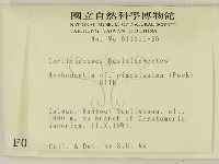 登錄號:F0000110藏品圖，第2張
