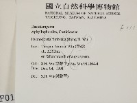 登錄號:F0000111藏品圖，第2張