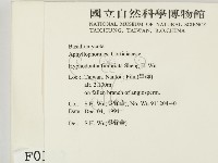 登錄號:F0000112藏品圖，第2張