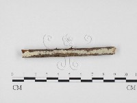 登錄號:F0000112藏品圖，第1張