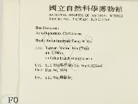 登錄號:F0000113藏品圖，第2張