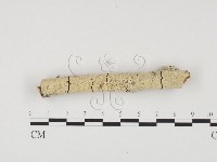 登錄號:F0000113藏品圖，第1張