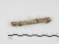 登錄號:F0000113藏品圖，第3張