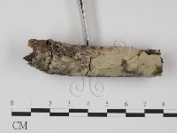 登錄號:F0000114藏品圖，第1張