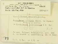 登錄號:F0000115藏品圖，第2張