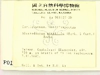 登錄號:F0000116藏品圖，第2張