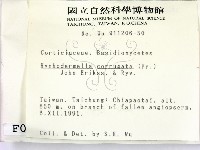 登錄號:F0000117藏品圖，第2張