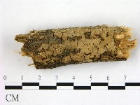 登錄號:F0000117藏品圖，第1張