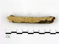 登錄號:F0000118藏品圖，第3張