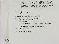 剛毛絲皮菌藏品圖，第2張