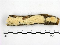 登錄號:F0000124藏品圖，第1張