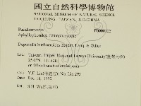 登錄號:F0000125藏品圖，第2張