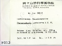 登錄號:F0000126藏品圖，第2張