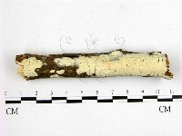 登錄號:F0000126藏品圖，第1張