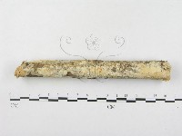 登錄號:F0000127藏品圖，第3張