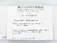 登錄號:F0000128藏品圖，第2張