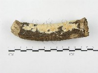 登錄號:F0000128藏品圖，第1張