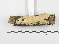 登錄號:F0000128藏品圖，第3張