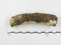 登錄號:F0000128藏品圖，第4張